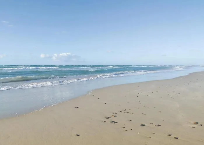 6 Person In * Brovst